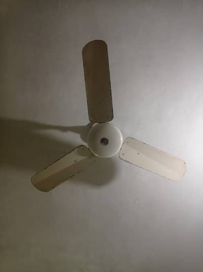 fans for sale