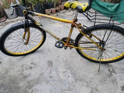 phoenix oregionl cycle oregionl frame good condition Tyre new