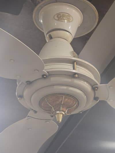 ceiling fans 6 of white 3 borwn