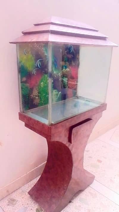 fish aquarium available