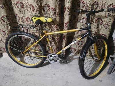 phoenix oregionl cycle oregionl frame good condition Tyre new