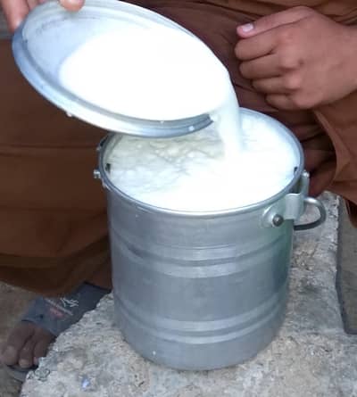 Dasi Goat Milk