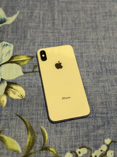 Apple iPhone X