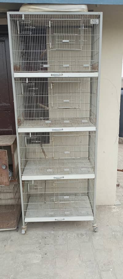 Ali cage for sale