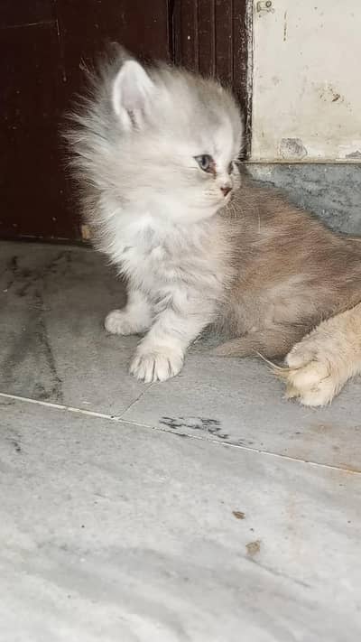 helthi