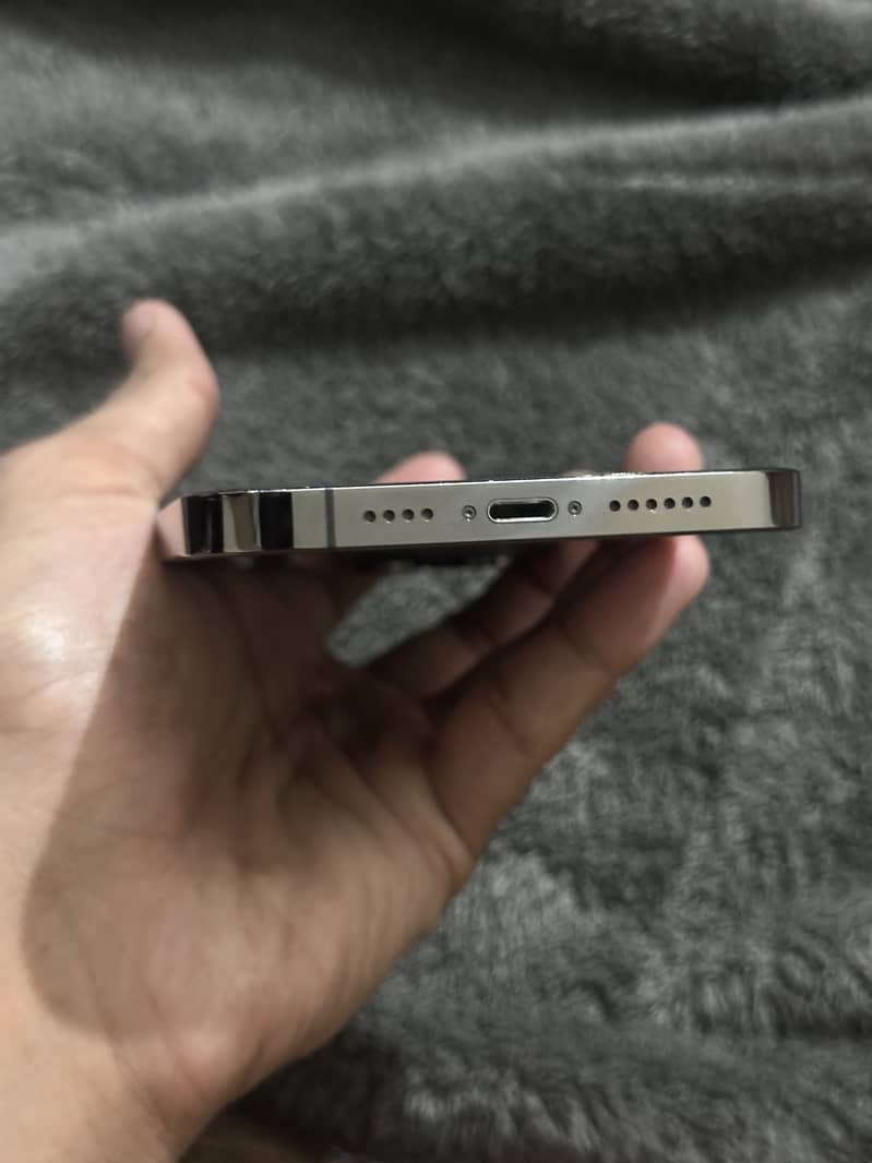 iPhone 13 Pro Max 1