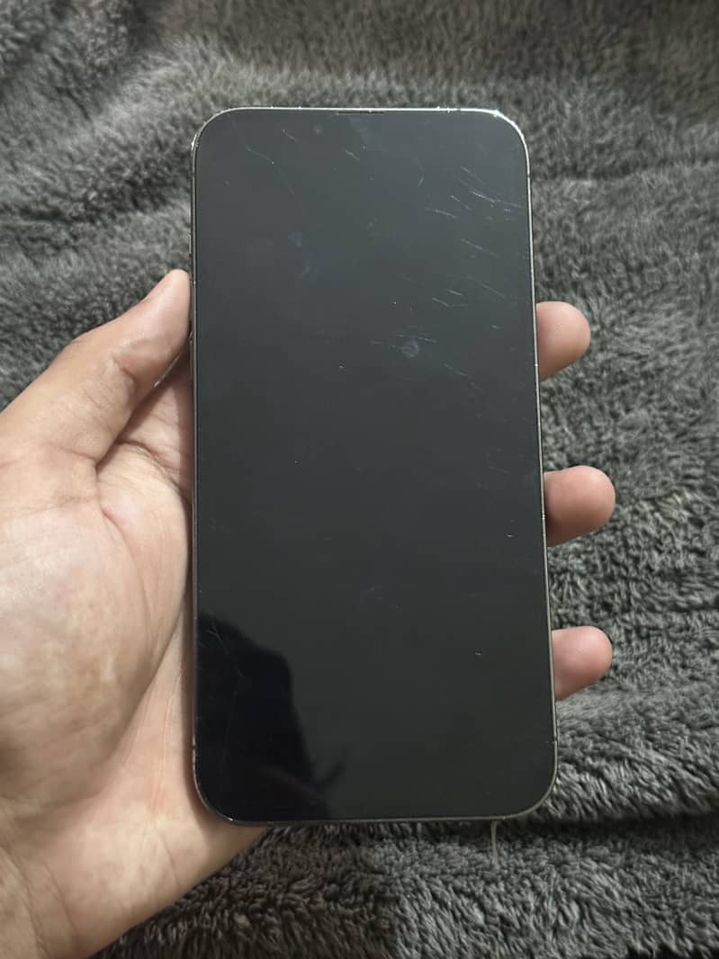 iPhone 13 Pro Max 2