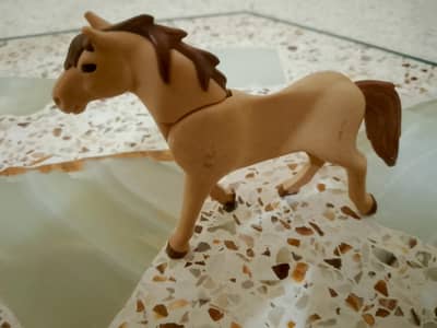horse