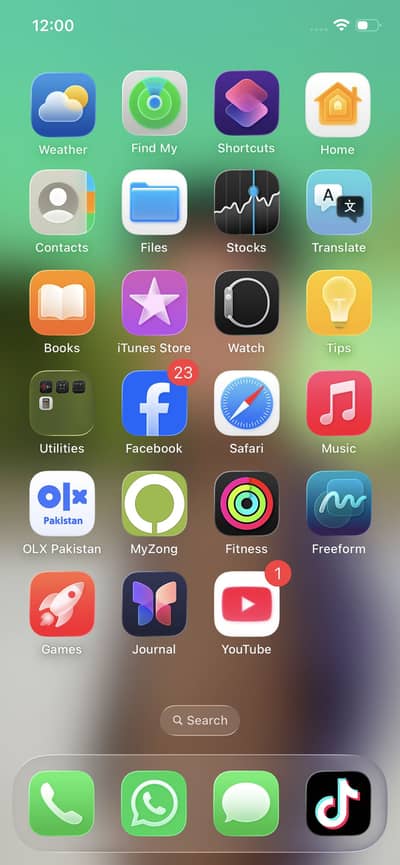 Apple iPhone 12