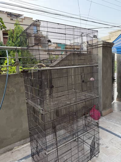 Zarar 8 protion cage