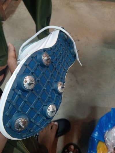 ADDIDAS SPIKES+GRIPPER