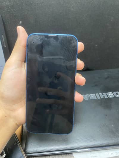 Apple iPhone 13