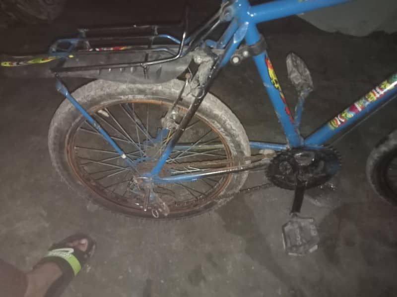 cycle 4