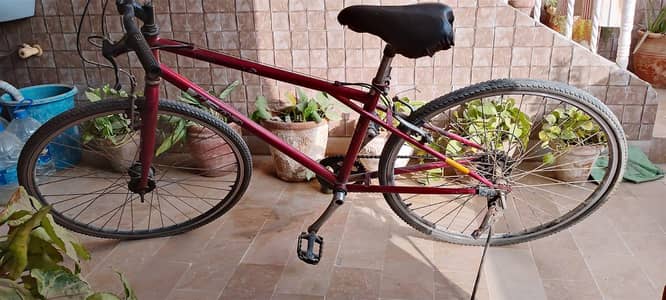 bicycle selling