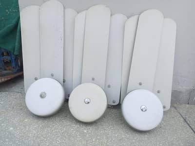 breeze fans 56"