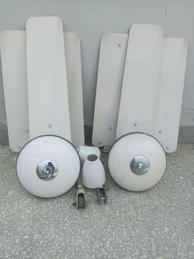 GFC 48" ceiling fans