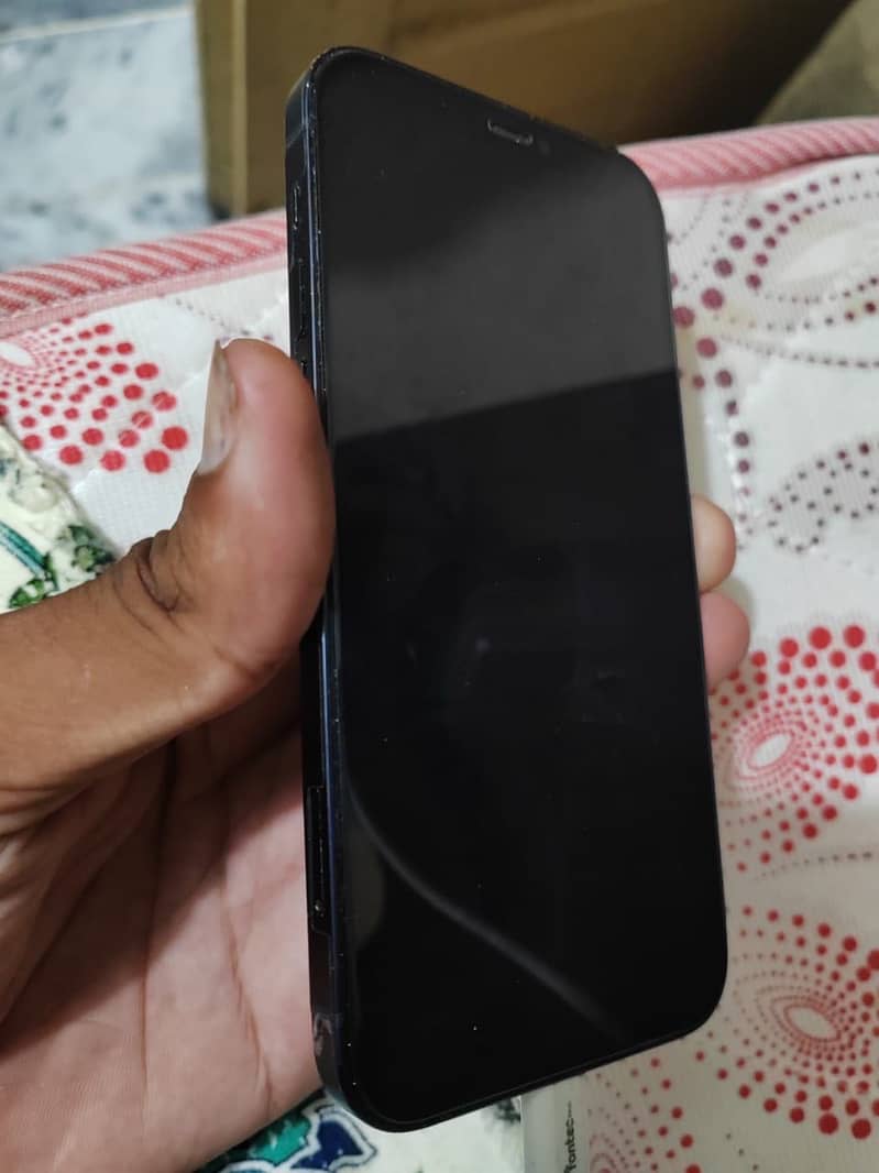 Apple iPhone 12 1