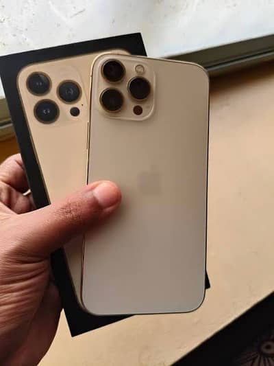 Apple iPhone 13 Pro Max