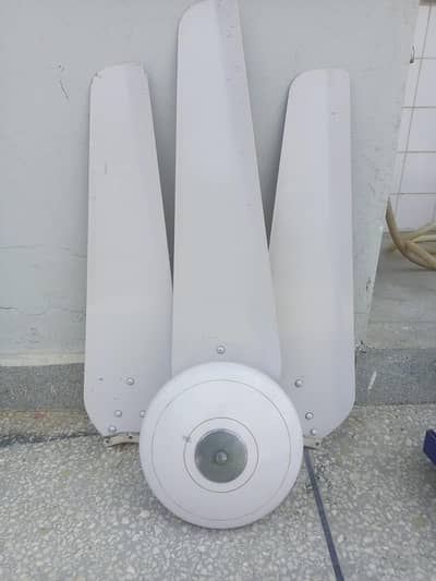 millet ceiling fans