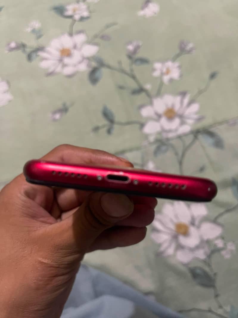 Apple iPhone 11 0