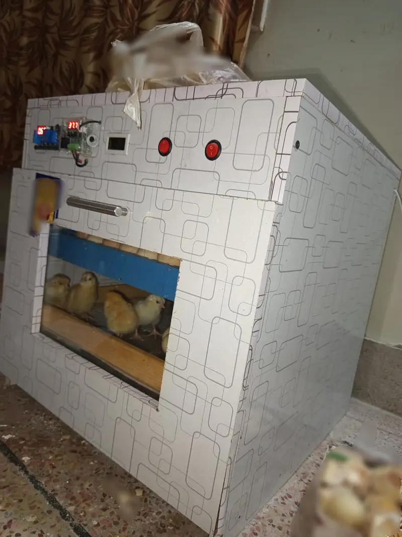 75-80 Eggs Automatic Iincubator || Egg hatching Machine for Sale — photo 5