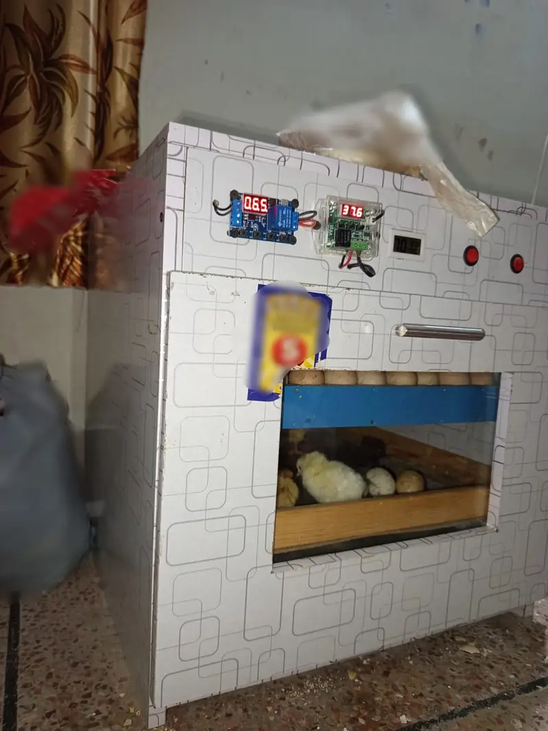 75-80 Eggs Automatic Iincubator || Egg hatching Machine for Sale — photo 6