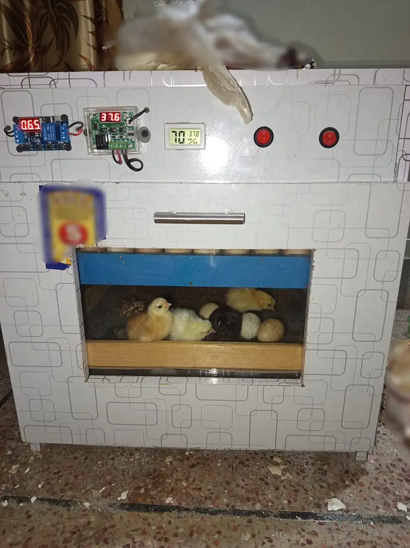 75-80 Eggs Automatic Iincubator || Egg hatching Machine for Sale — photo 7