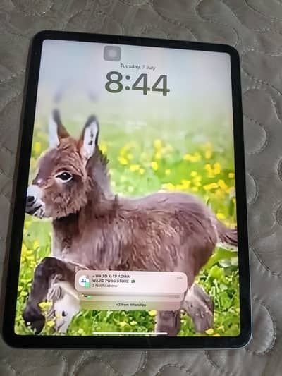 I pad pro m2