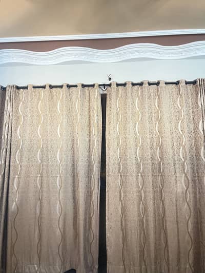 Golden and Beige Curtains