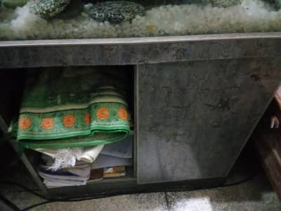 Fish aquarium