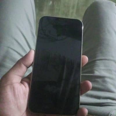 Apple iPhone 12 Pro Max