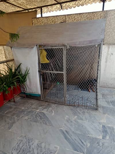 Mazboot cage ha achi condition may hai