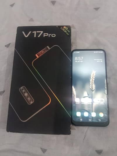 Vivo V17 Pro For Exchange / Sale