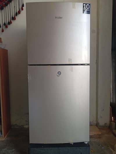 HRF--216 Fridge