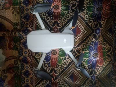 dji Mini 2