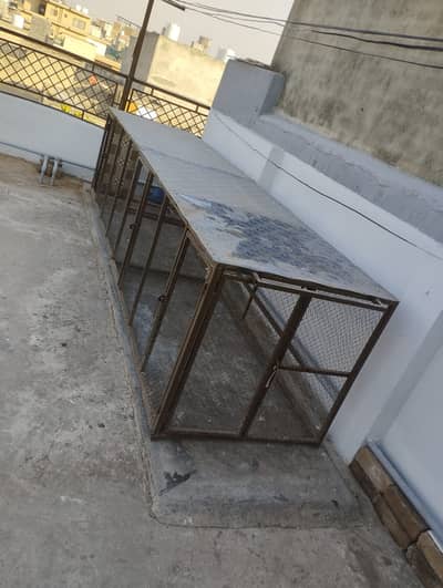 Cage for Hens