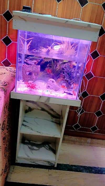Aquarium