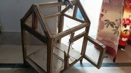 Bird cage