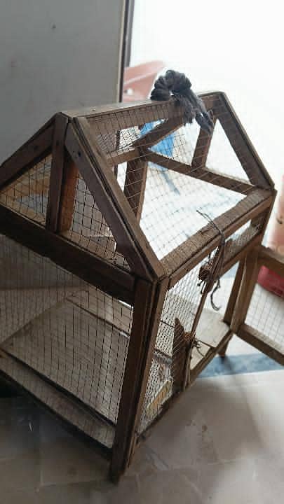 Bird cage 1