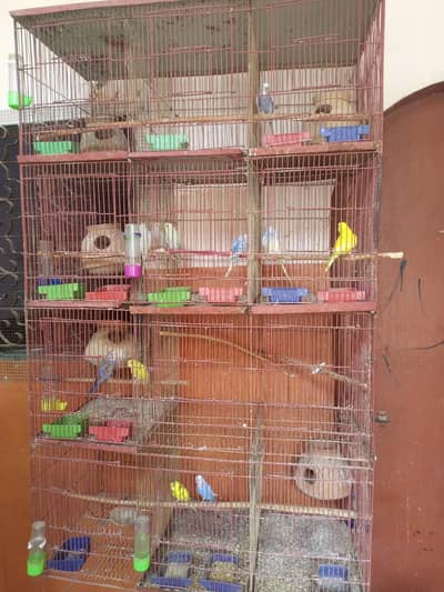 12 portion cage for sale
