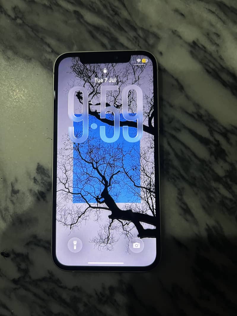 Apple iPhone 12 5