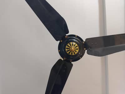 pak fans ceiling fans used condition new
