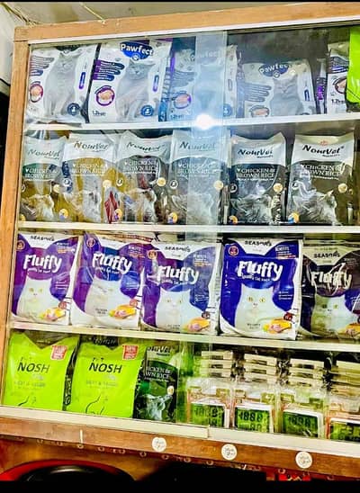 cat feed