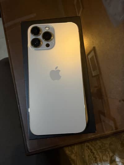 Apple iPhone 13 Pro Max
