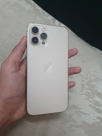 Apple iPhone 12 Pro Max