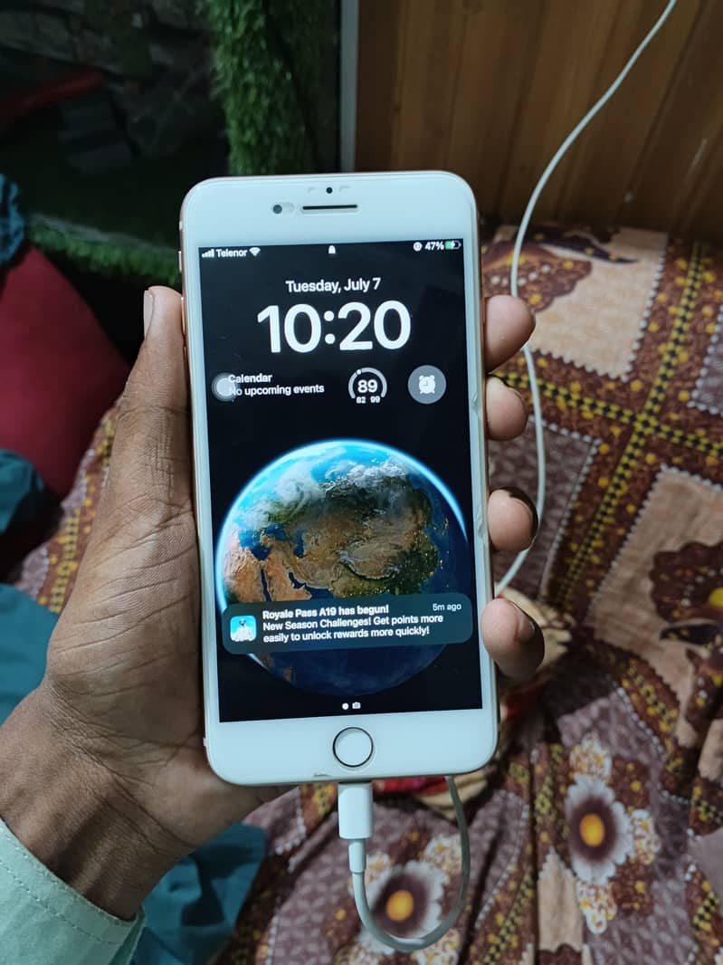 Apple iPhone 8 Plus 1