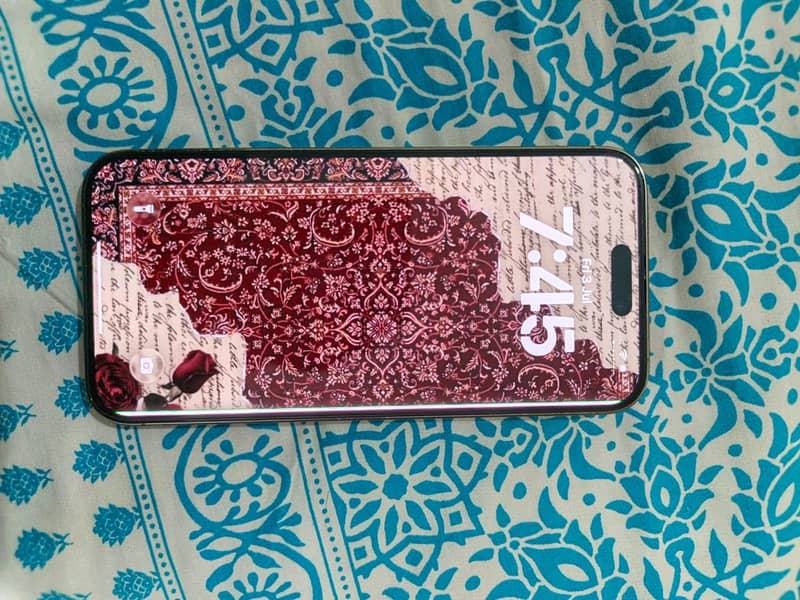 iPhone14pro max 4