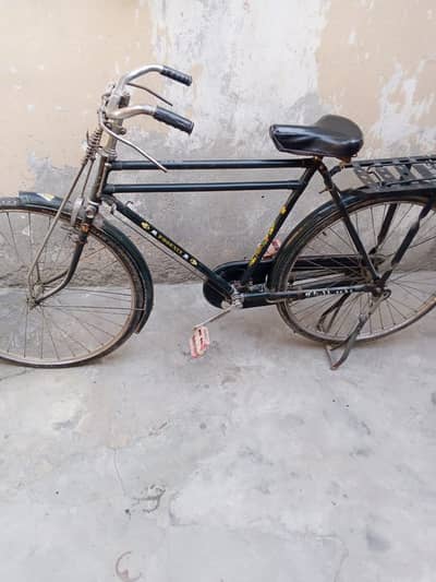 China cycle phonix