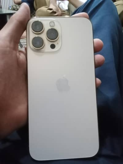 Apple iPhone 13 Pro Max