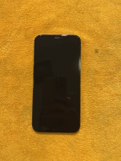 Apple iPhone 12 Pro Max